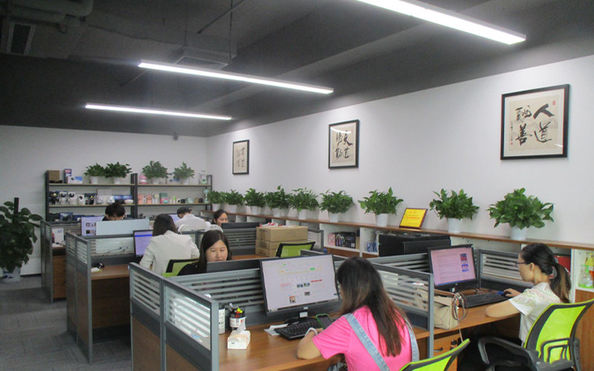 Shenzhen Changshengying Technology Co.,Ltd