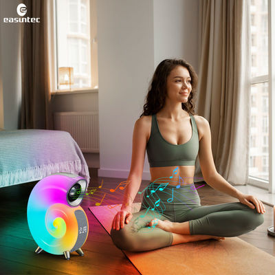 Music Play Conch Music Lamp G Speaker Lamp Built-in 2000mAh Rechargeable Battery and OEM / ODM Support